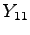 $ Y_{11}$