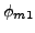 $\phi_{m1}$